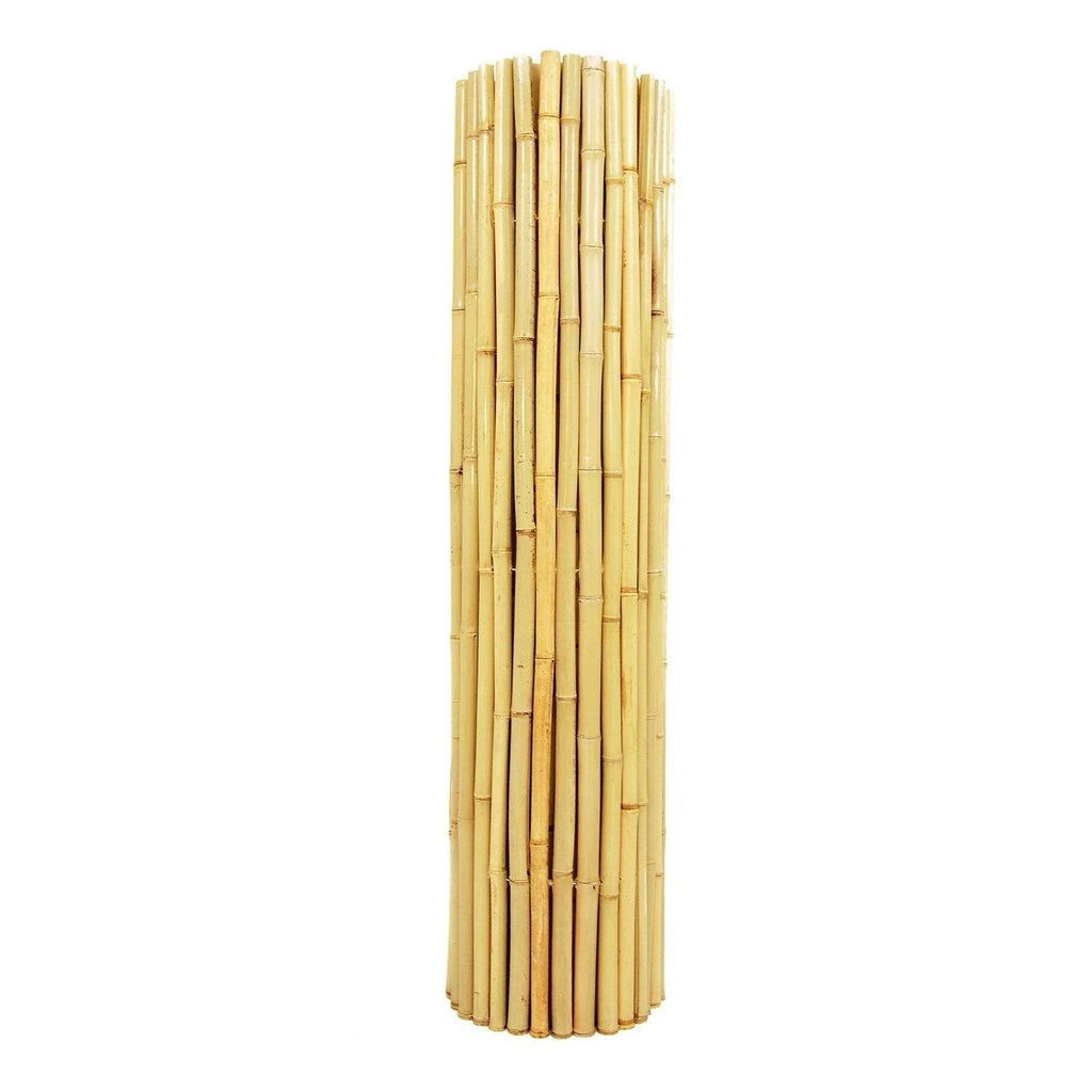 Natural Bamboo Fence T701772