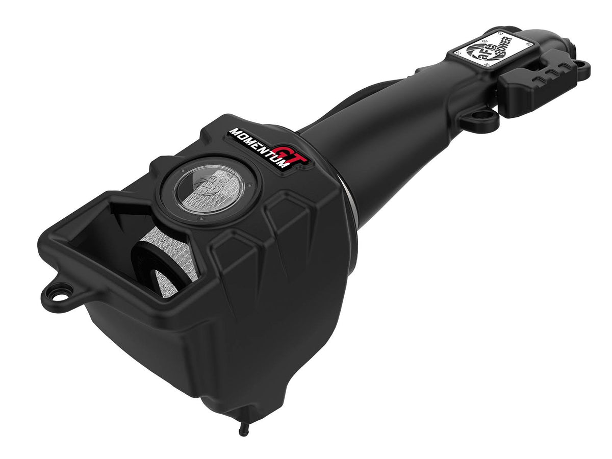 Momentum GT Pro Dry S Air Intake System R18216