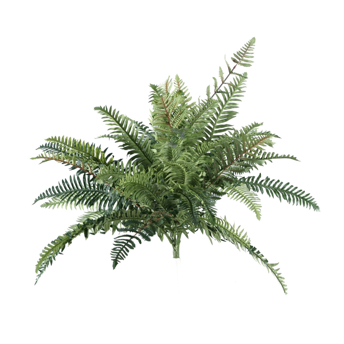 14 inch River Fern Set of 12, Green F3341