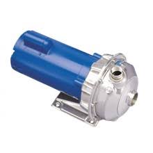 Single Phase 1 1/2 HP Stainless Steel Centrifugal Pump W9947