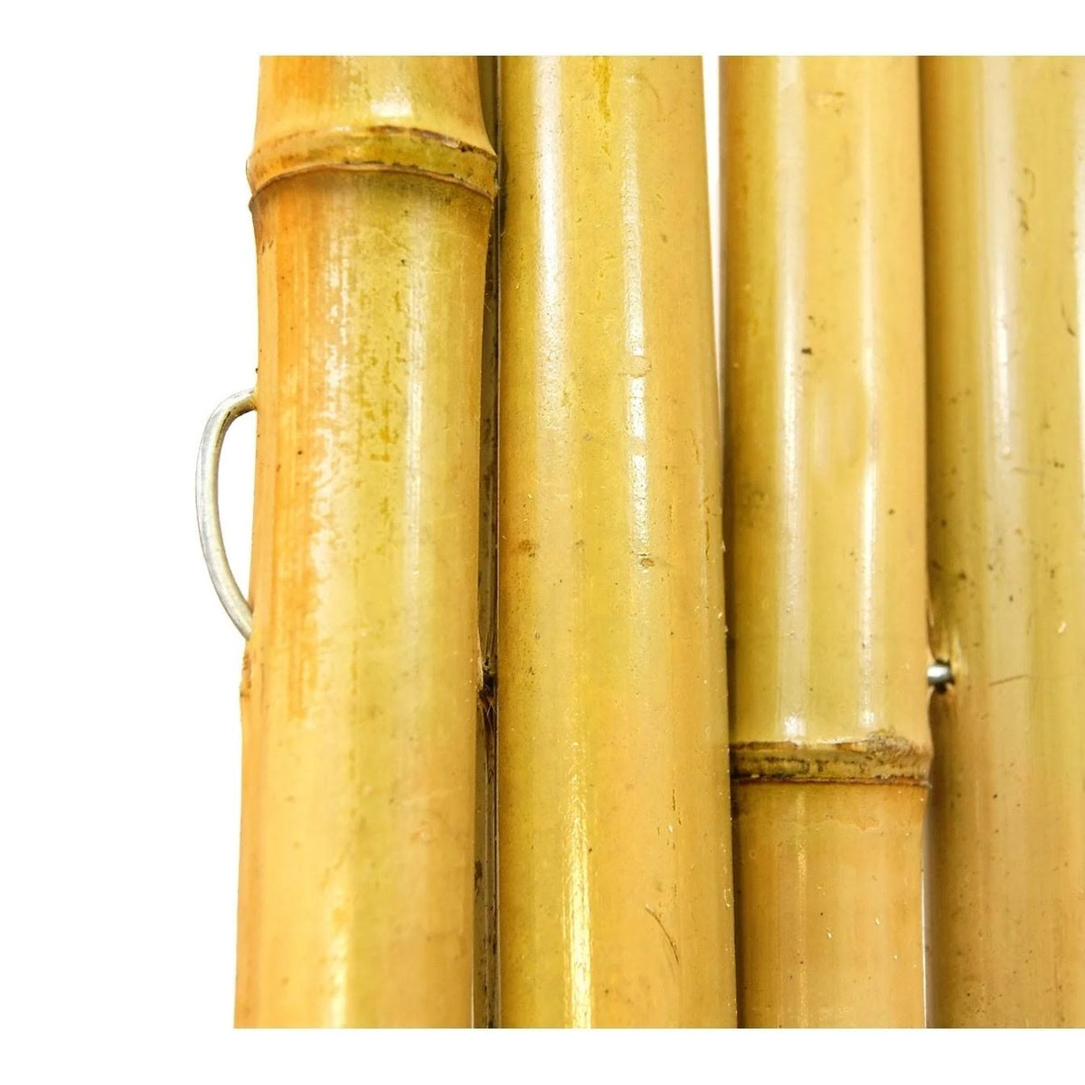 Natural Bamboo Fence T701772