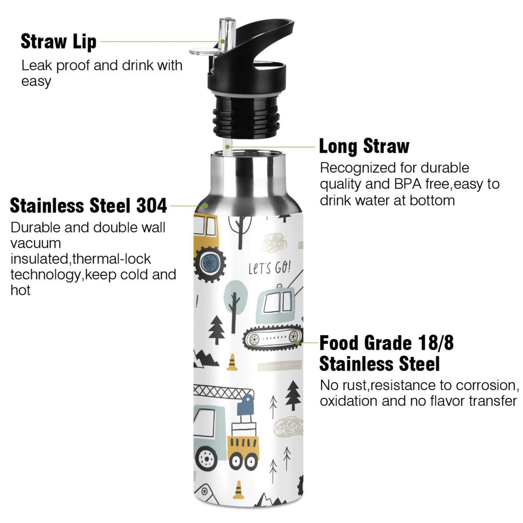 20 OZ Stainless Steel Vacuum Insulated Water Bottle with Straw Lid M788956