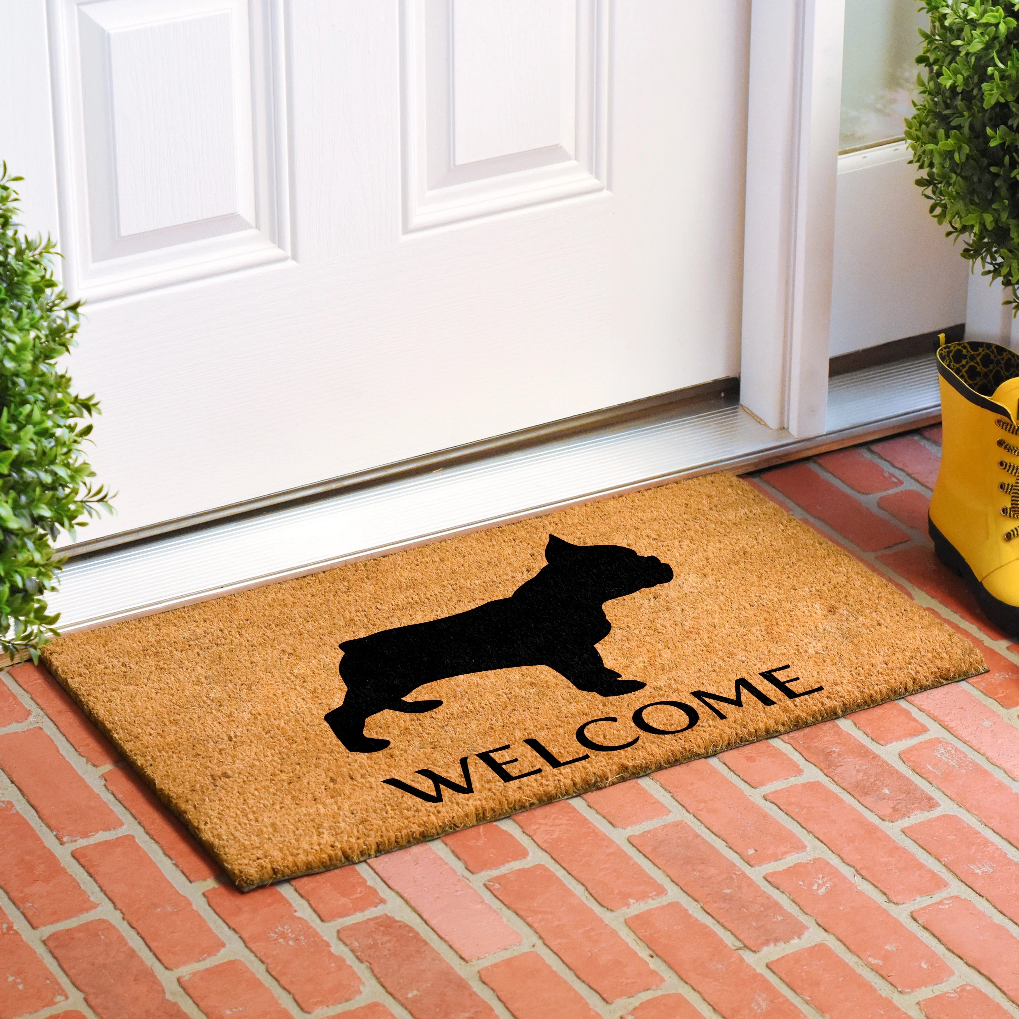 French Bulldog Doormat 24" x 36" J88801