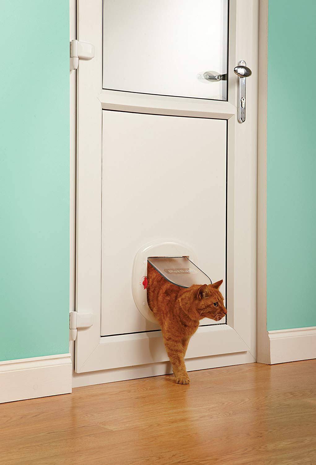 White Pet Door Z330842