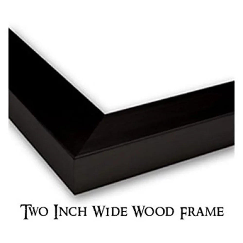 Black Modern Framed Museum Art Print B60905