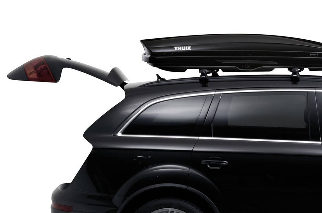 Dynamic M One Size W5693