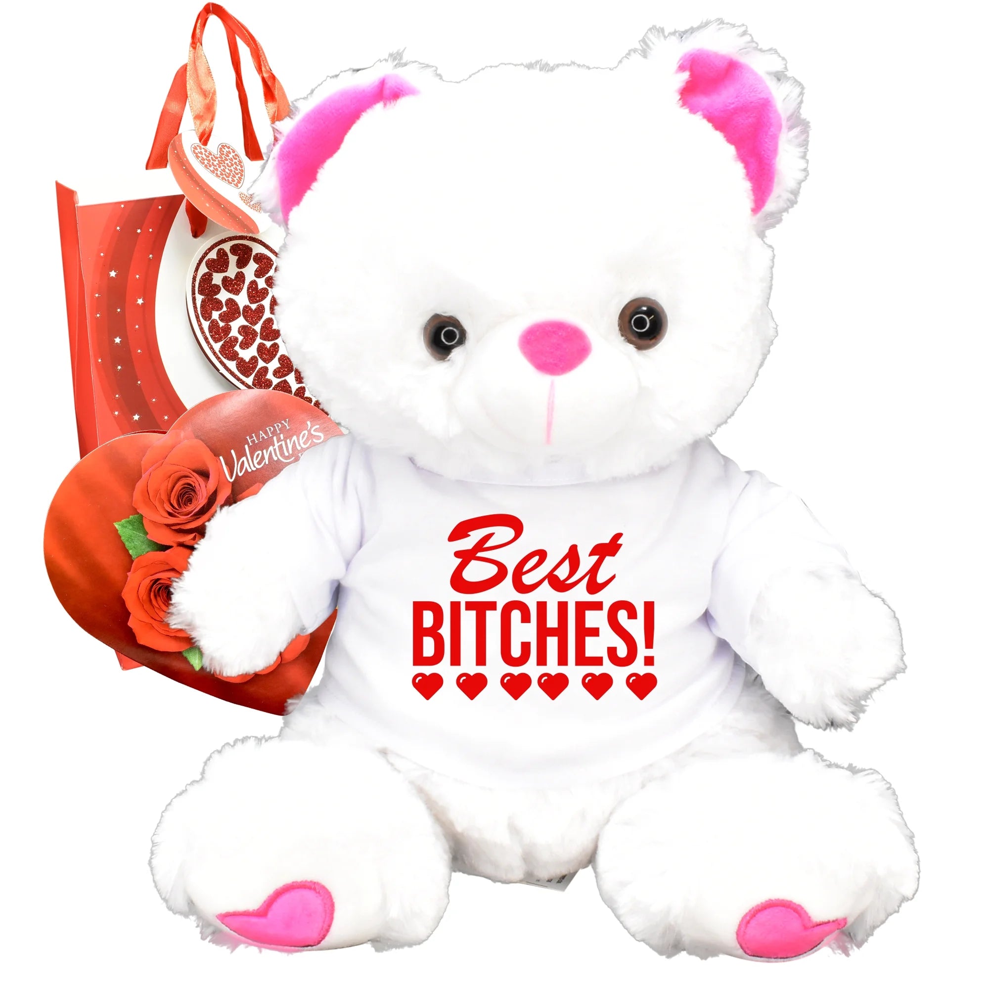 Teddy Bear Chocolates Gift Bag Plush V84812