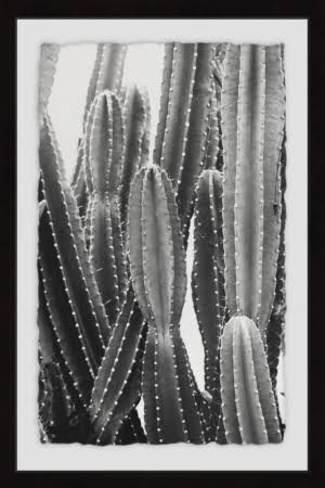 Multi Framed Print X38396