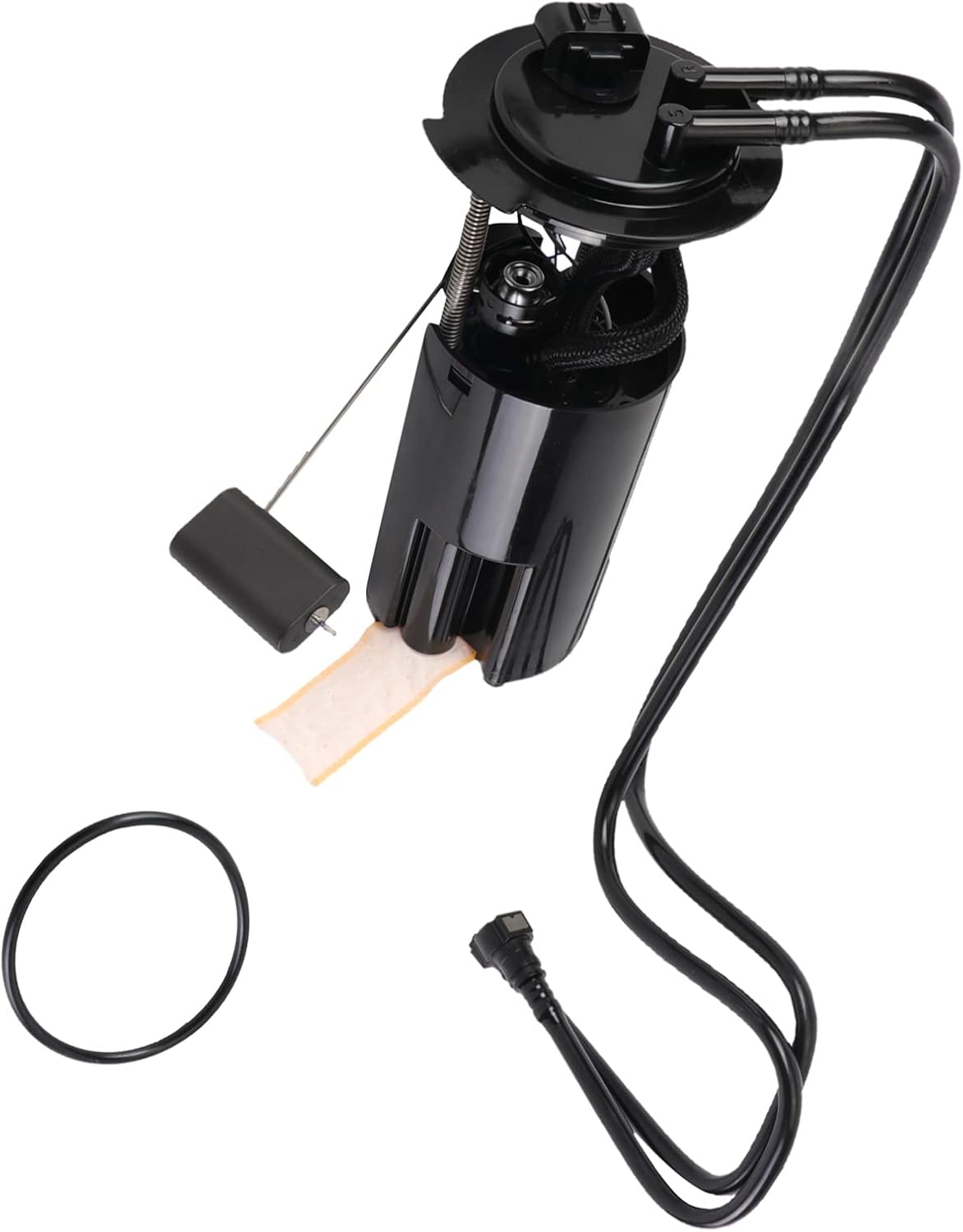 Fuel Pump Module Assembly Pack of 2 R818728