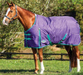 Bright Purple/Green Standard Neck Medium O3525