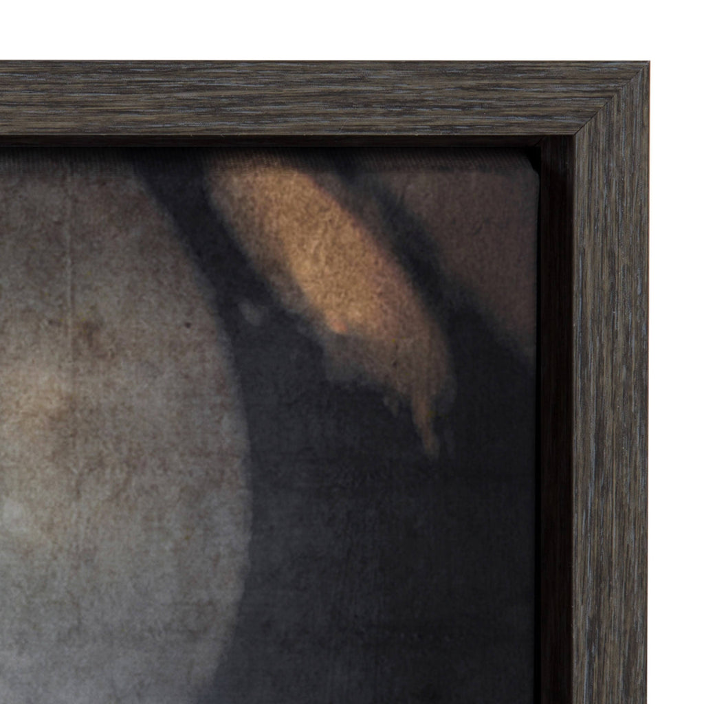 Football Helmet Framed Canvas A3035