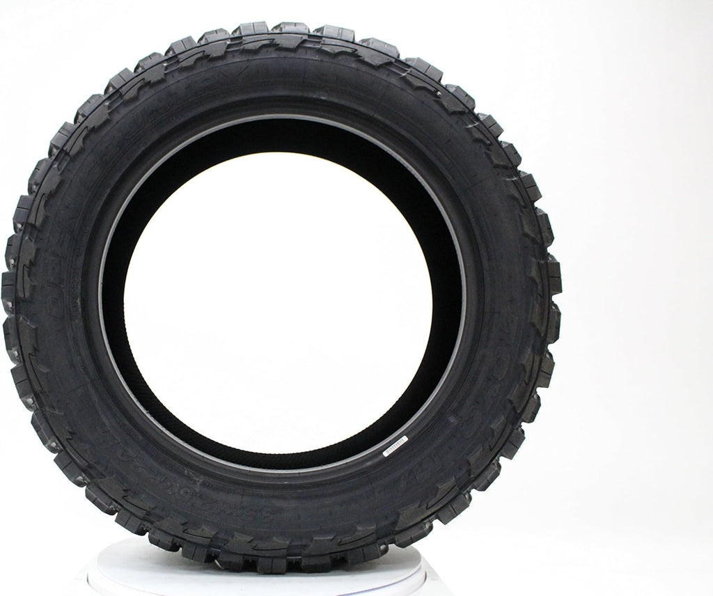 295/55R20 123P Radial Tire V418