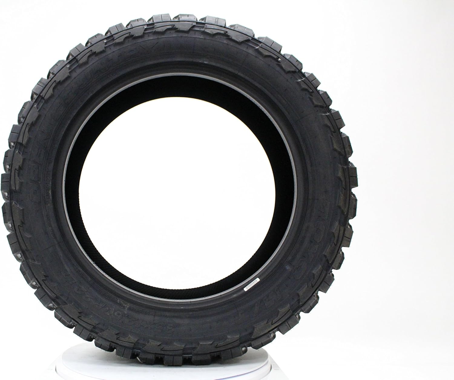 295/55R20 123P Radial Tire V418