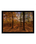 Sun Spackled Wood Framed Photograph Print A981272