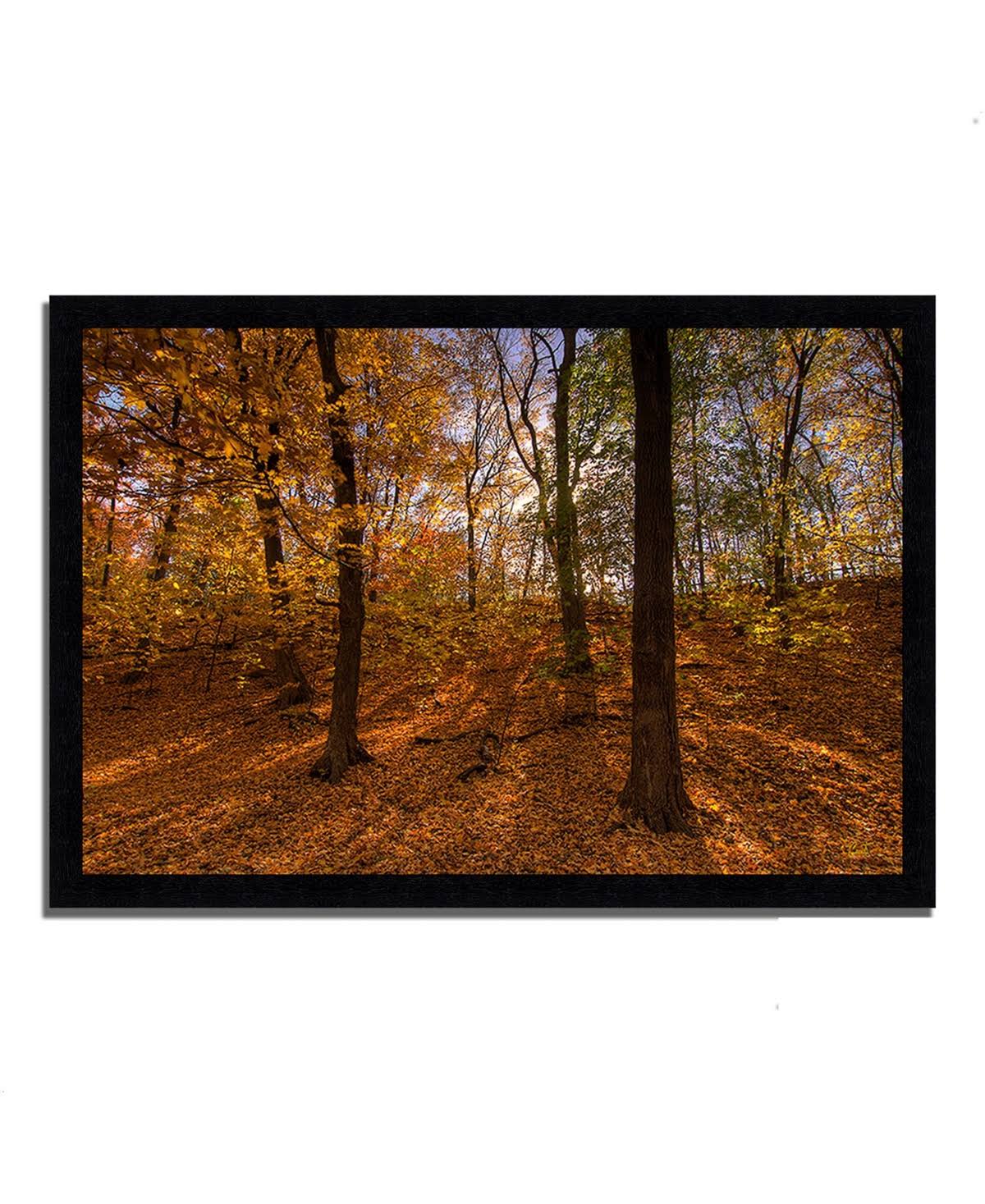 Sun Spackled Wood Framed Photograph Print A981272