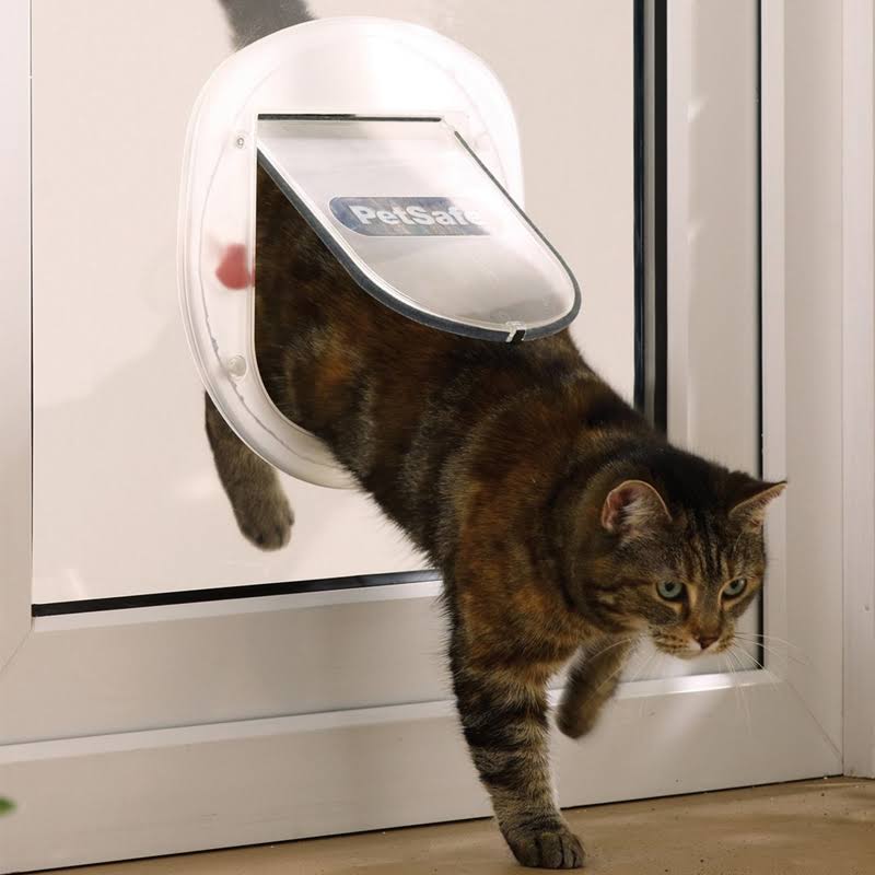 White Pet Door Z330842