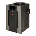 206000 BTU Natural Gas Pool Heater U3252