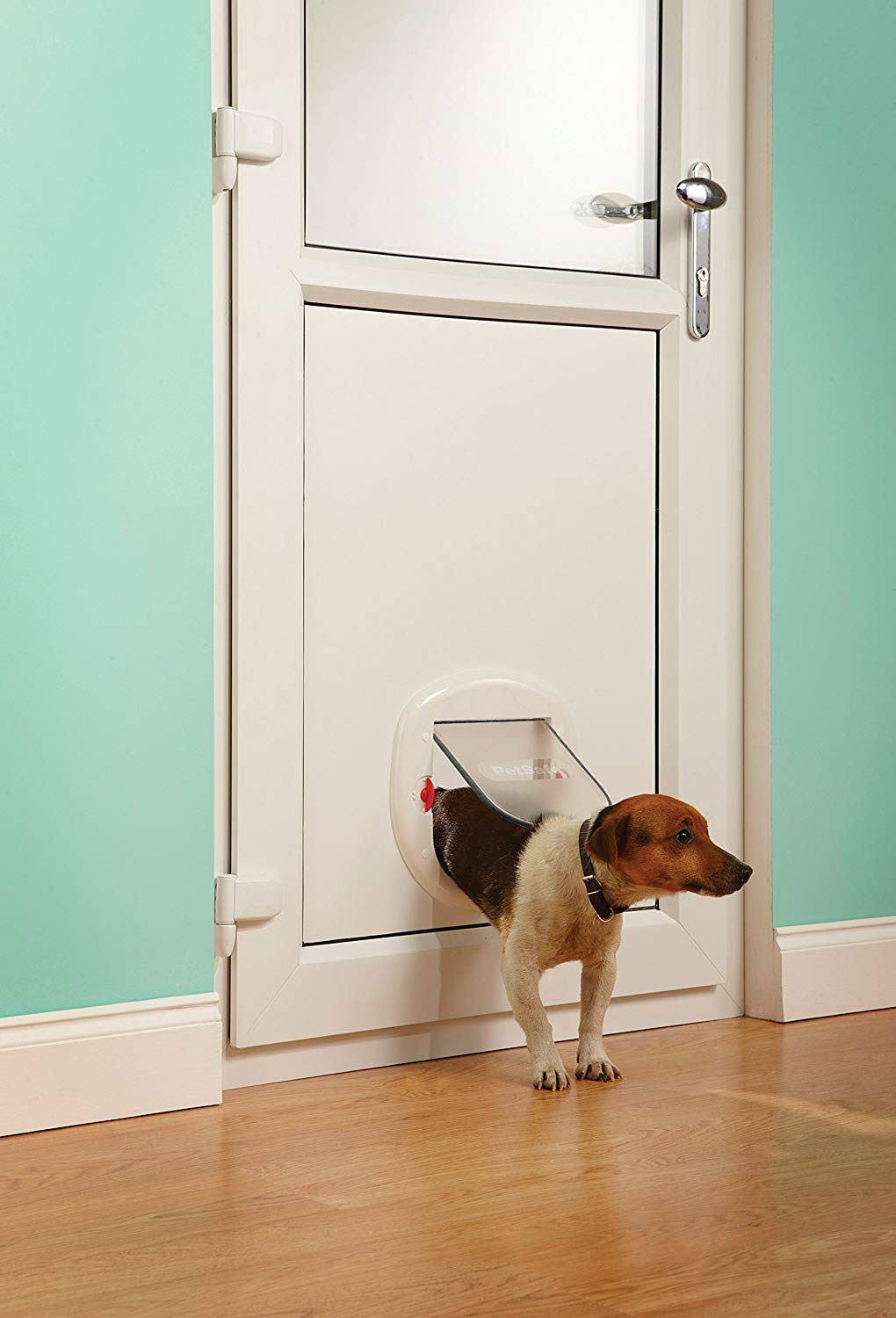 White Pet Door Z330842