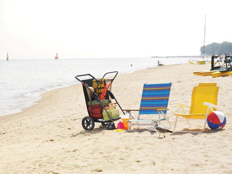 Beach Cart H309