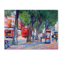 Canvas S491