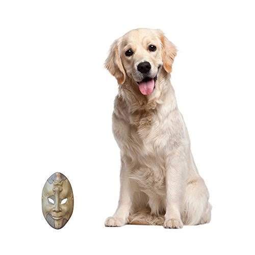 Beige Decorative Wood Mask U81375