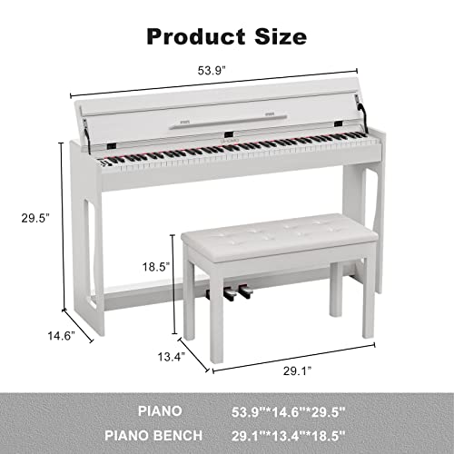 Black Full Size Weighted Key Digital Piano with Bench N252