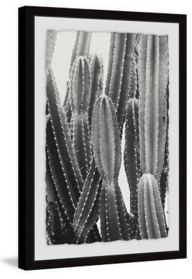Multi Framed Print X38396