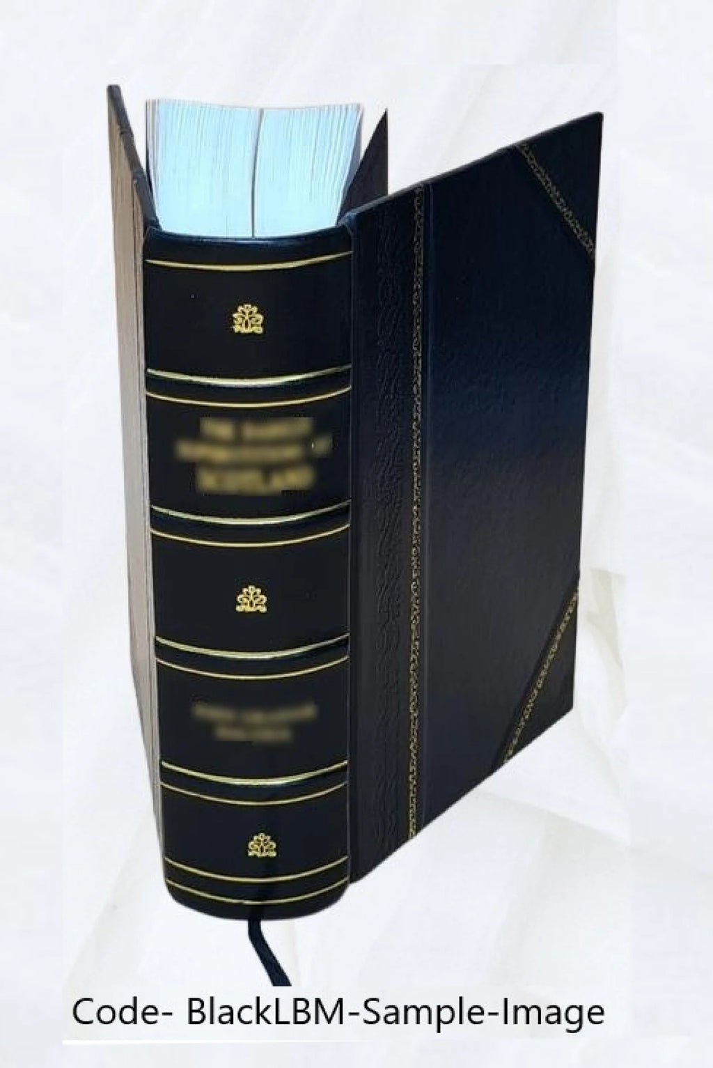 Vol. 2 Leather Bound E759971