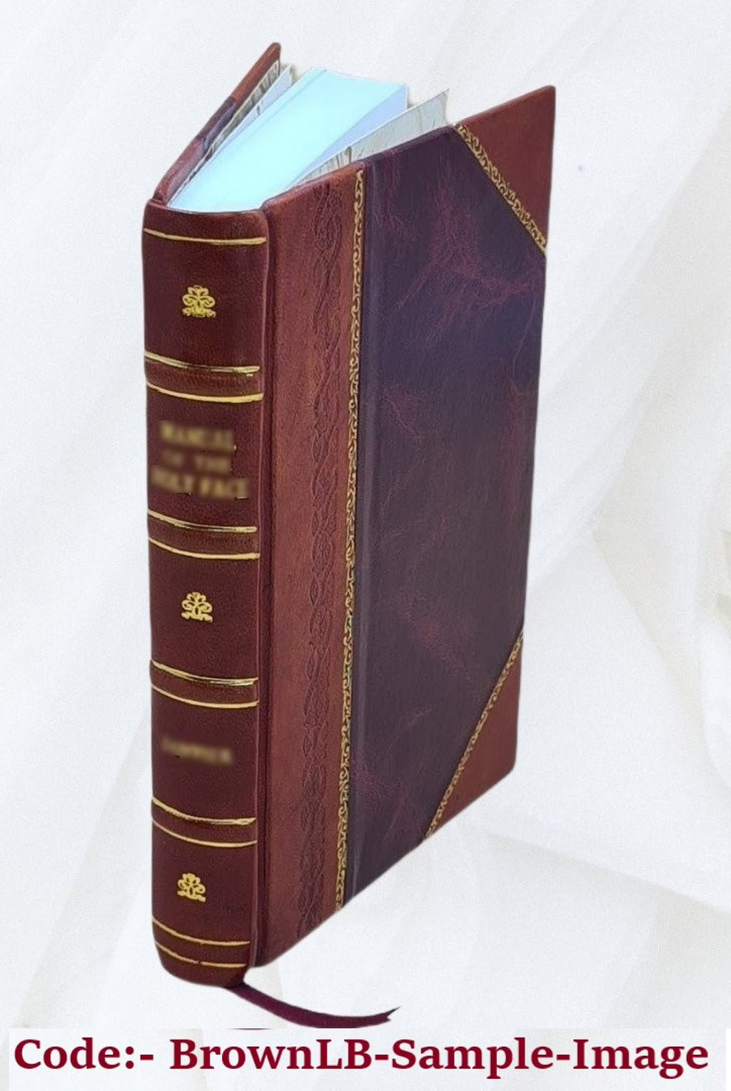 Leather Bound Book I9199