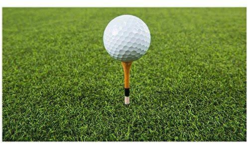 4& x 5& Golf Mat D9897