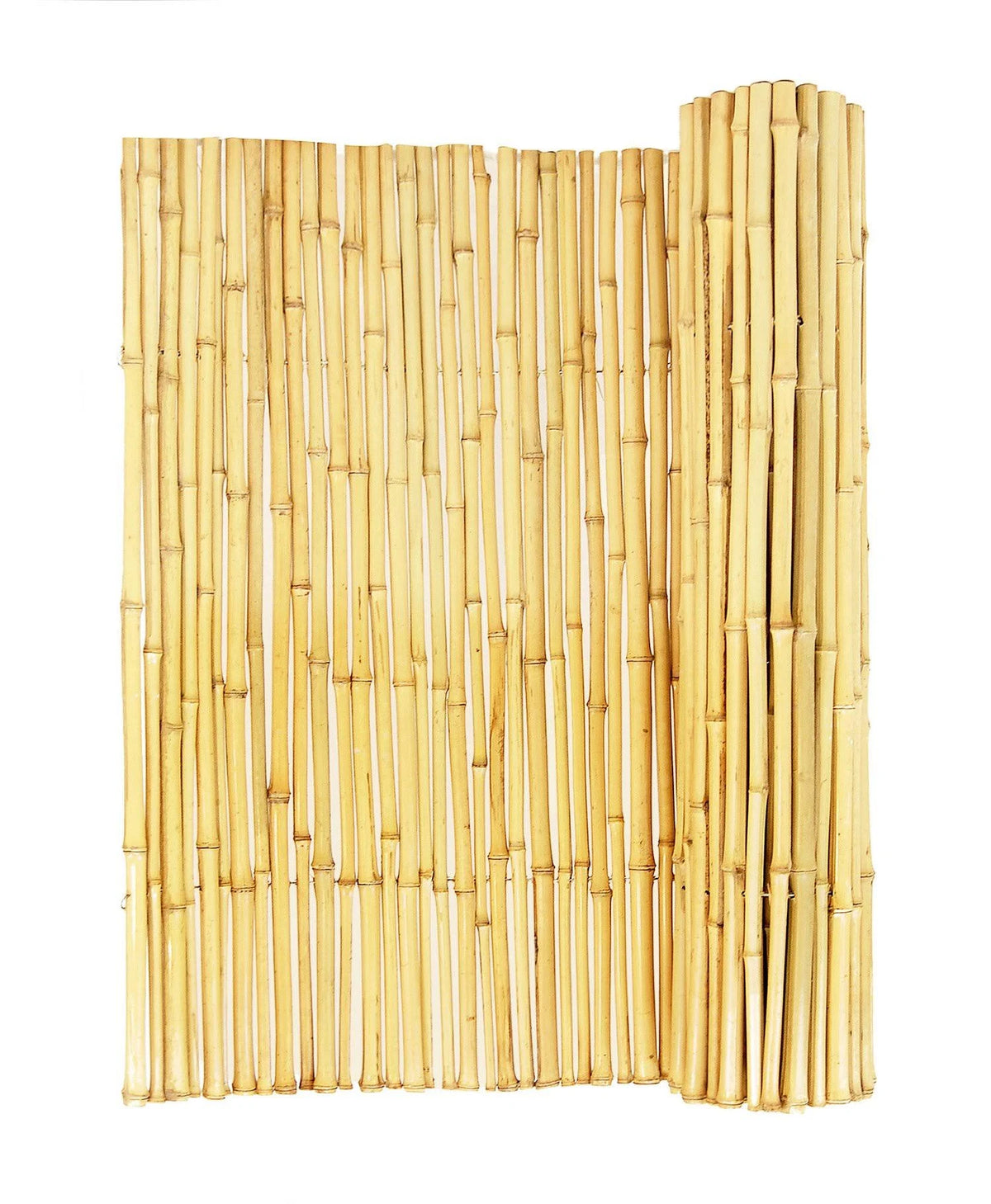Natural Bamboo Fence T701772
