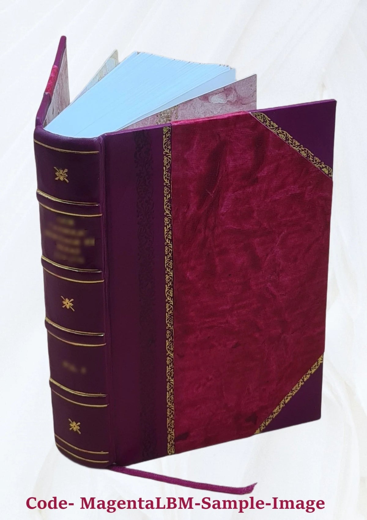 Vol. 2 Leather Bound E759971