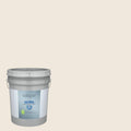 Interior Paint (5-Gallon) A73806