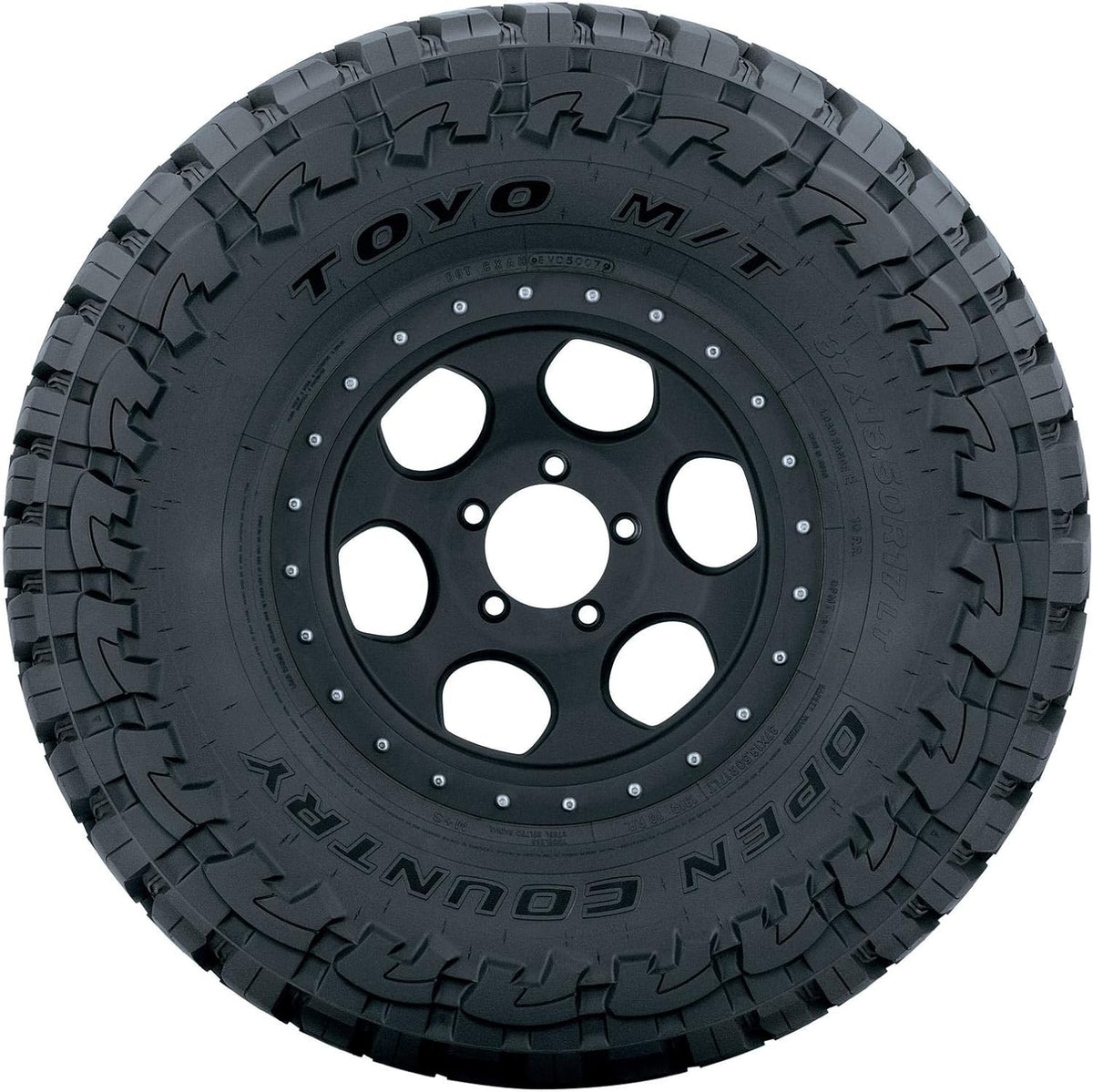 295/55R20 123P Radial Tire V418